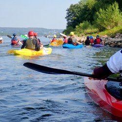 Padler auf dem Rhein
